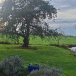 Workshop 2026 moodboard 5