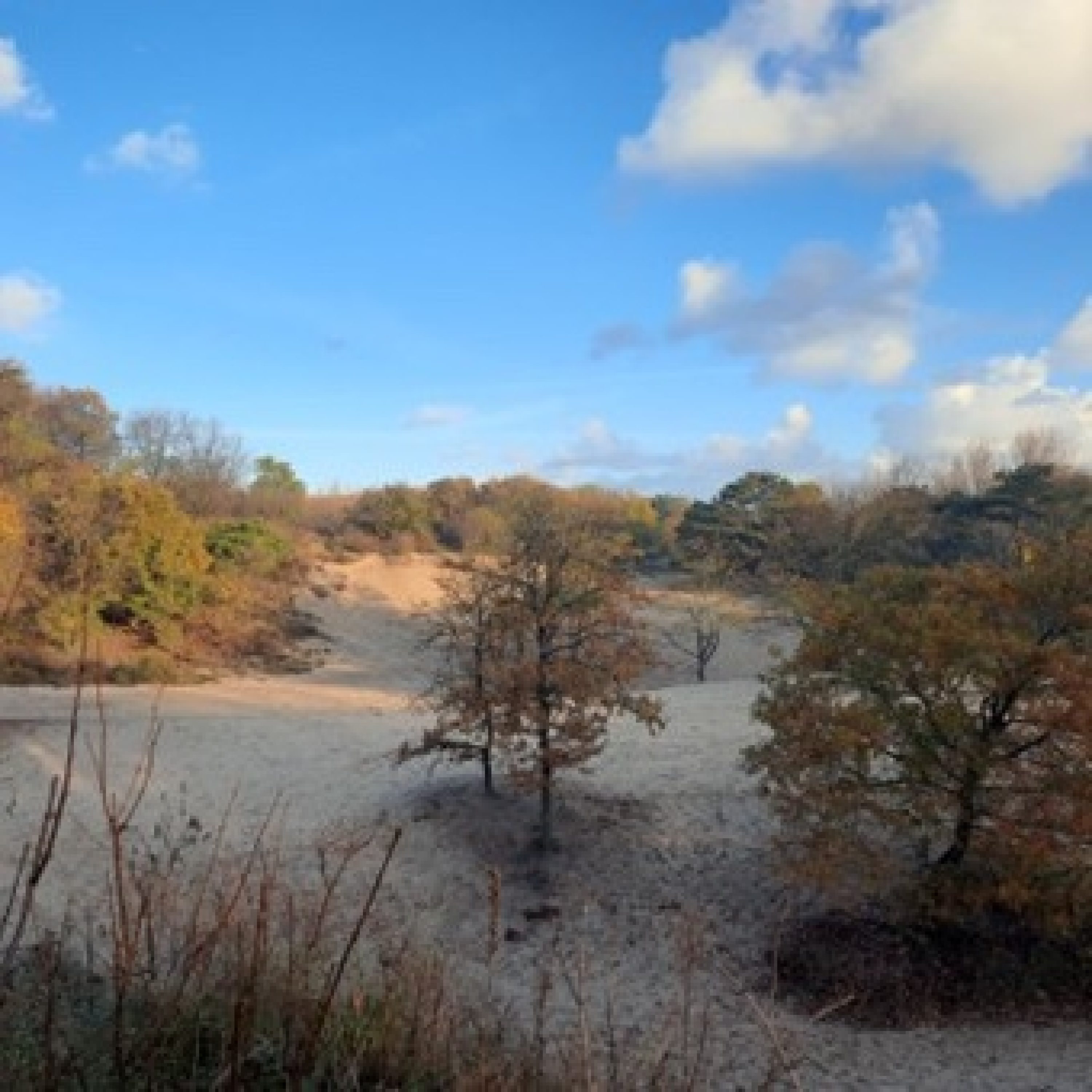 peter-duinen (1)